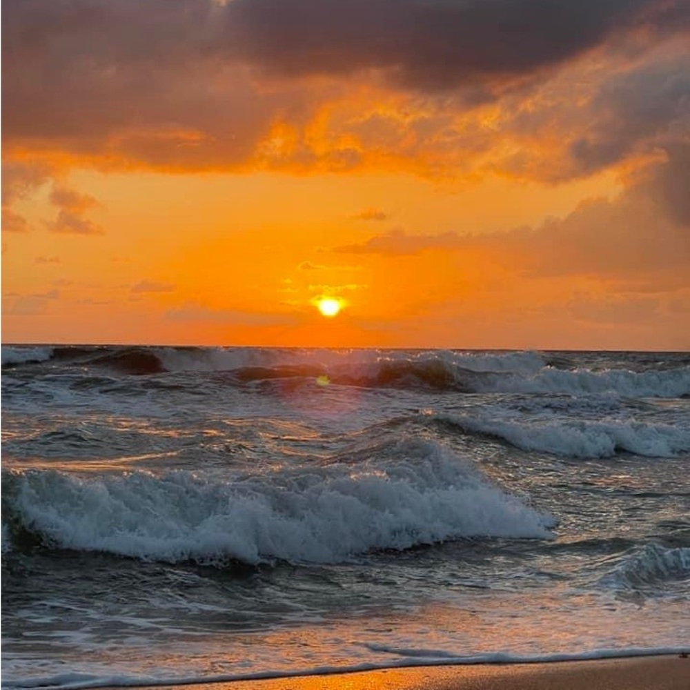 Meet your Posh Ambassador II Caroline